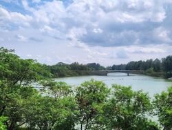 Blk 325A Punggol Bayview (Punggol), HDB 5 Rooms #497168441